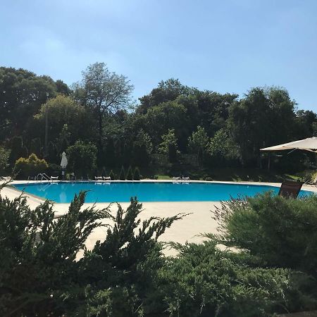 Nordului Herastrau Luxury Apartment Bucureşti Eksteriør bilde