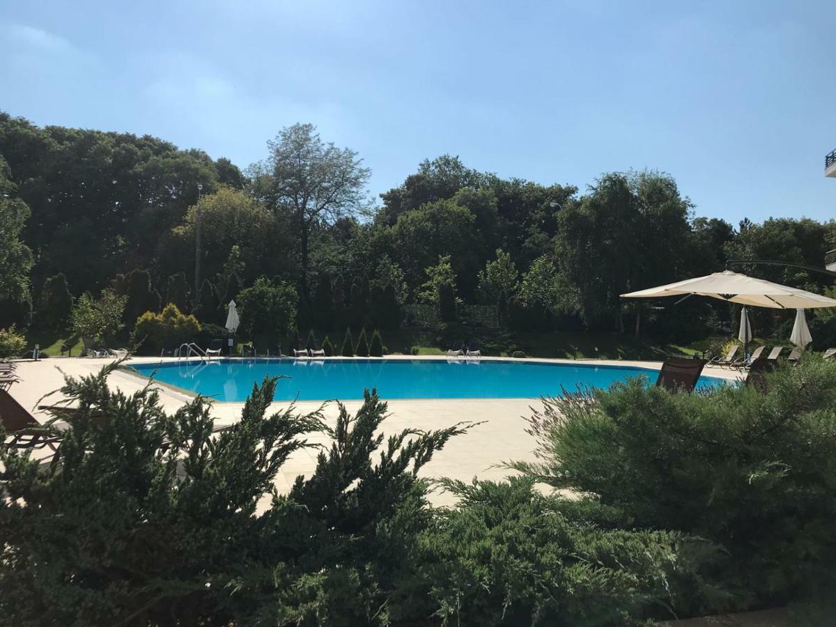 Nordului Herastrau Luxury Apartment Bucureşti Eksteriør bilde
