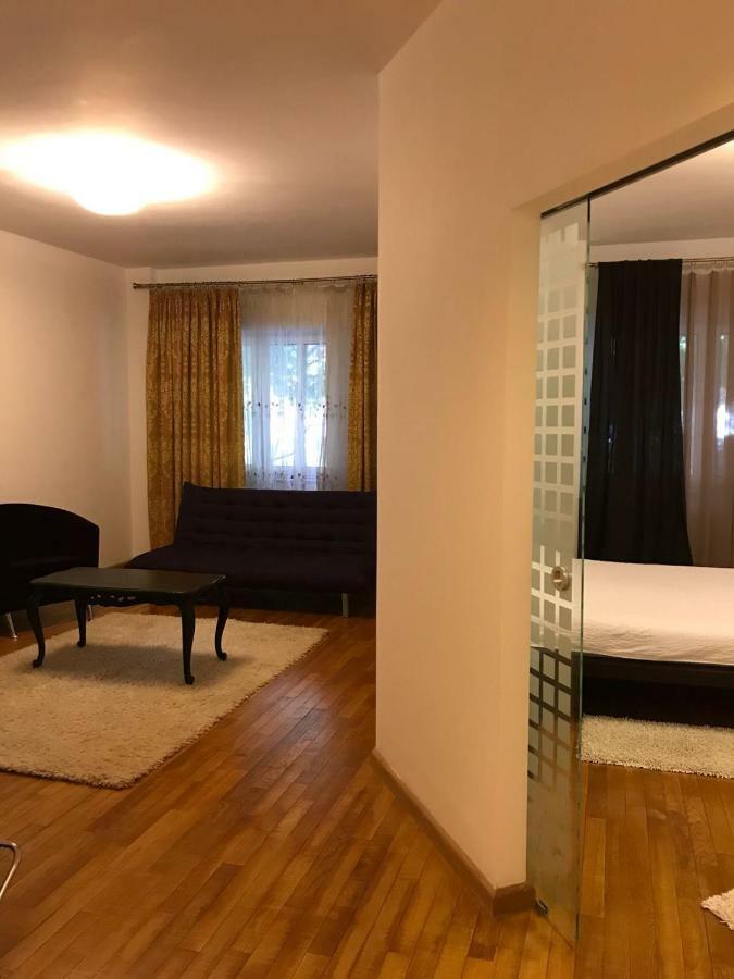Nordului Herastrau Luxury Apartment Bucureşti Eksteriør bilde